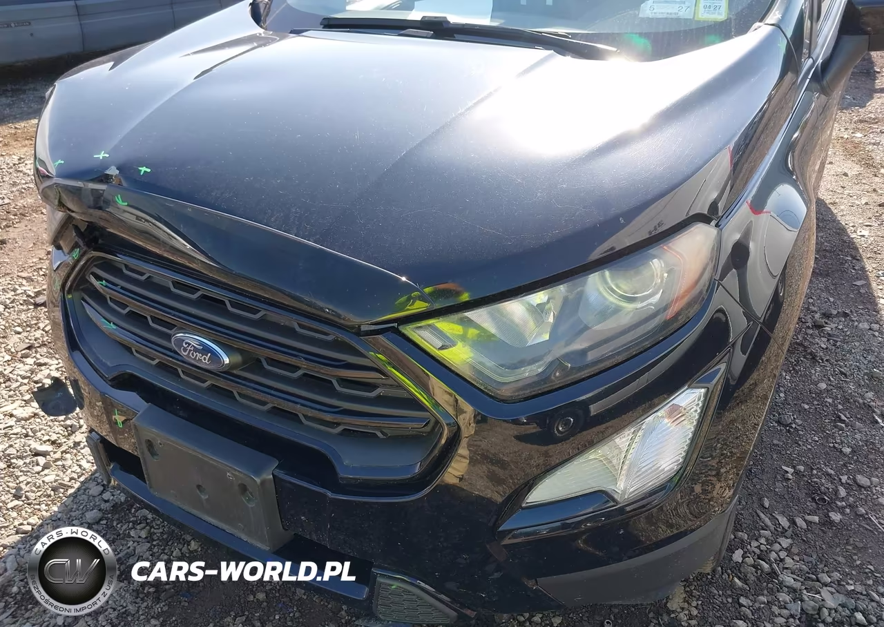 2019 Ford Ecosport Ses VIN:MAJ6S3JL6KC273367 - 18