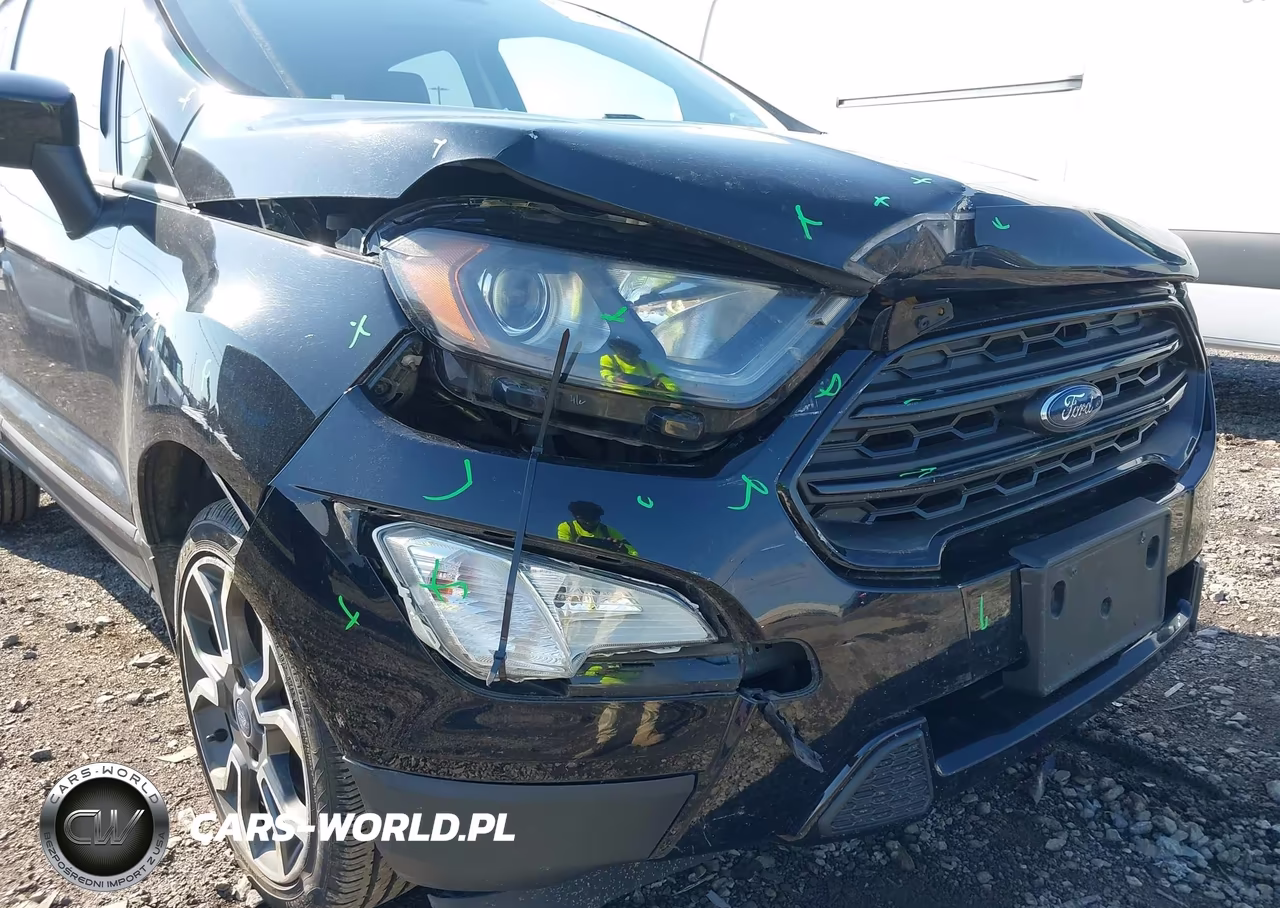 2019 Ford Ecosport Ses VIN:MAJ6S3JL6KC273367 - 19