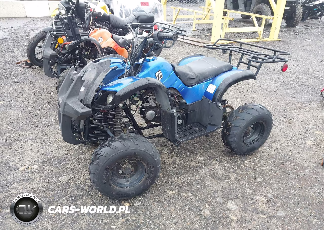 2021 Taotao D125 VIN:L9NACFD35M1900302 - 2