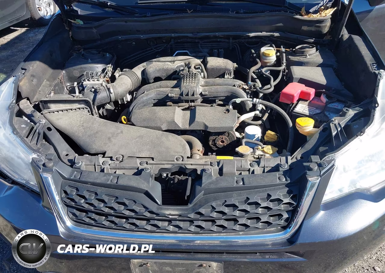 2015 Subaru Forester 2.5I VIN:JF2SJABC3FH510809 - 10