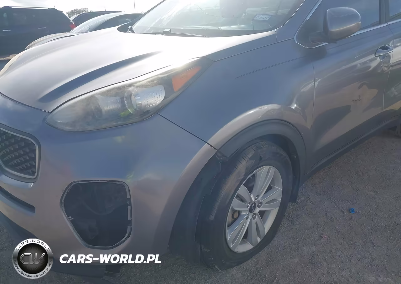 2018 Kia Sportage Lx VIN:KNDPM3AC5J7351394 - 18