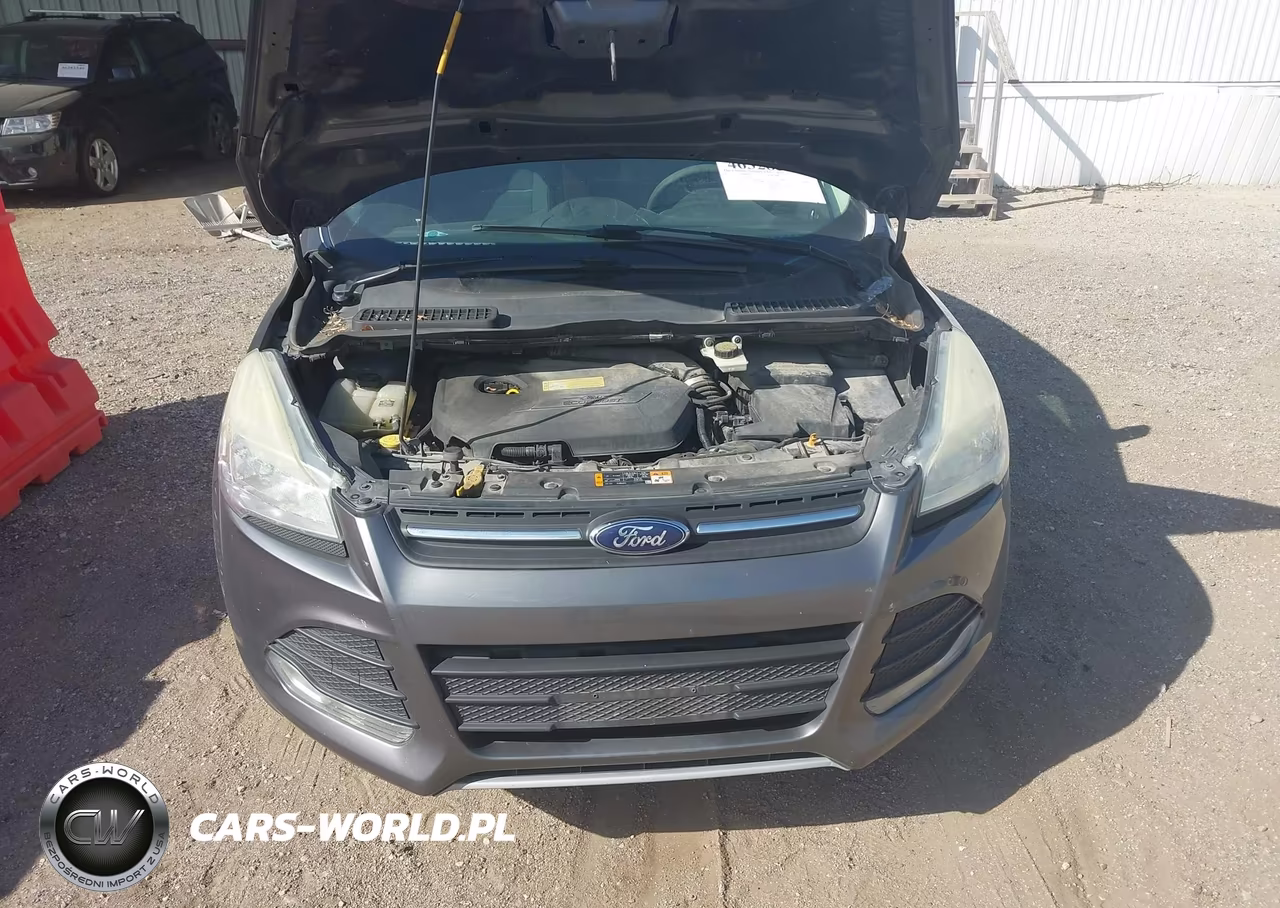 2013 Ford Escape Se VIN:1FMCU0GX1DUD09927 - 10