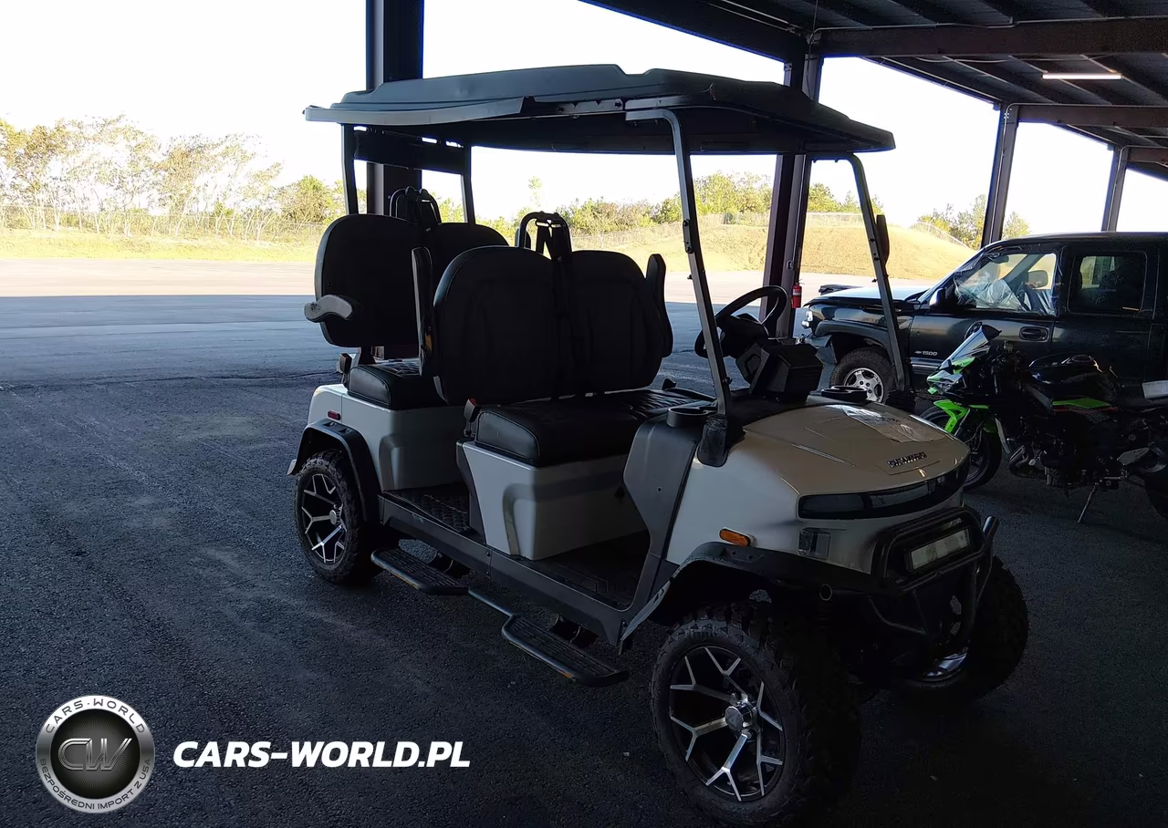 2025 Denago Golf Cart – zdjęcie 1 z 11