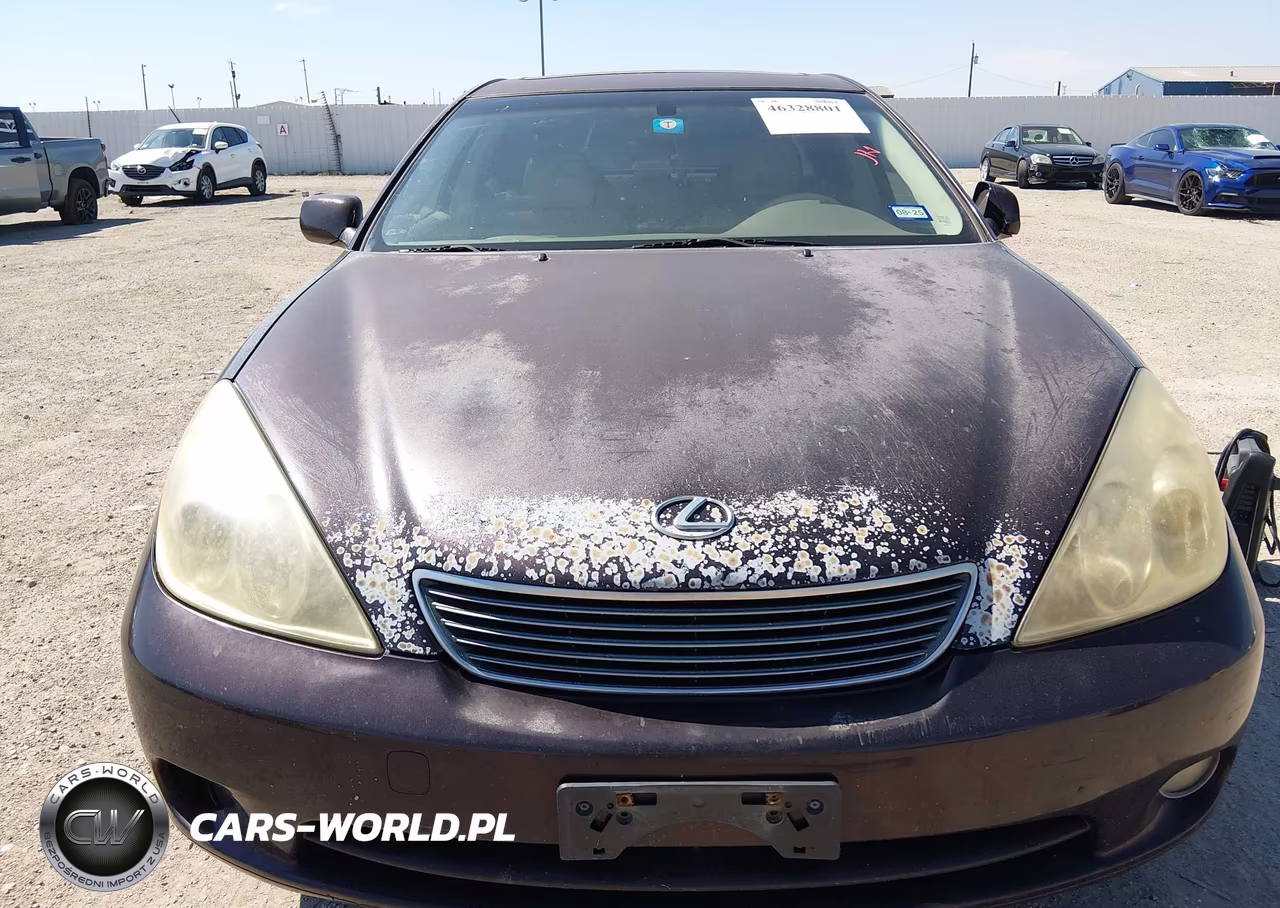 2005 Lexus Es 330 VIN:JTHBA30GX55123592 - 6