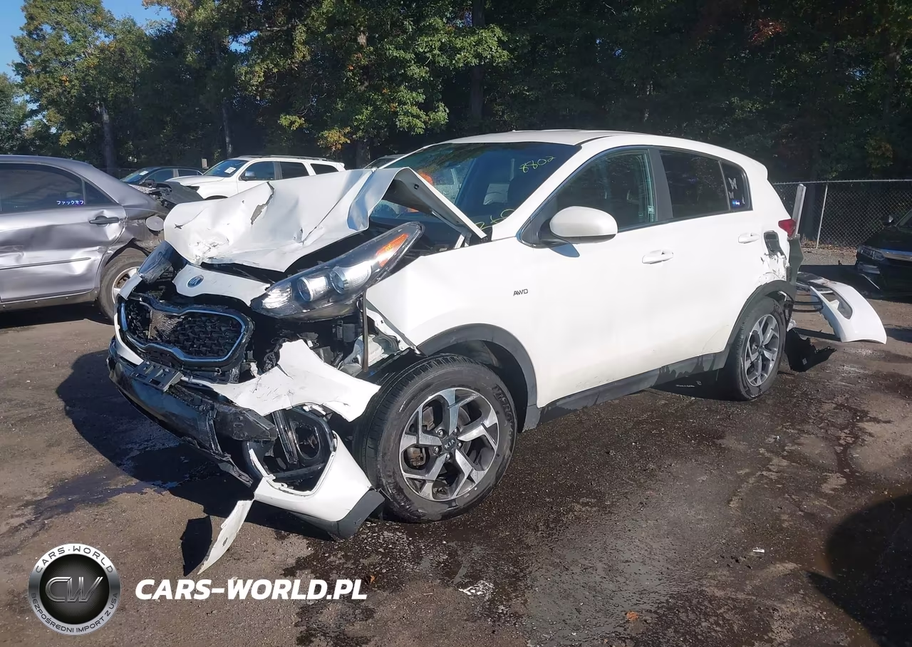 2022 Kia Sportage Lx VIN:KNDPMCAC7N7006387 - 2