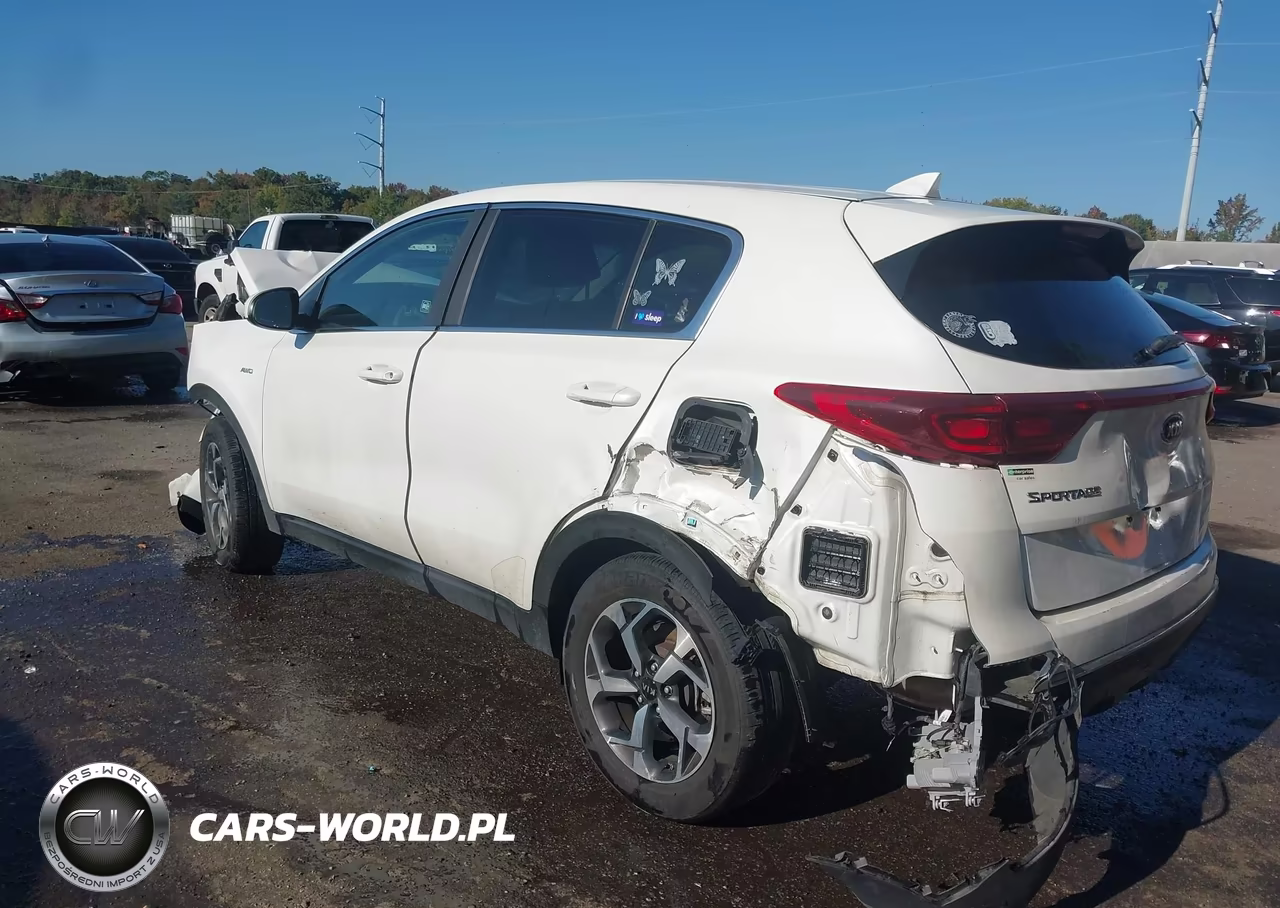 2022 Kia Sportage Lx VIN:KNDPMCAC7N7006387 - 3