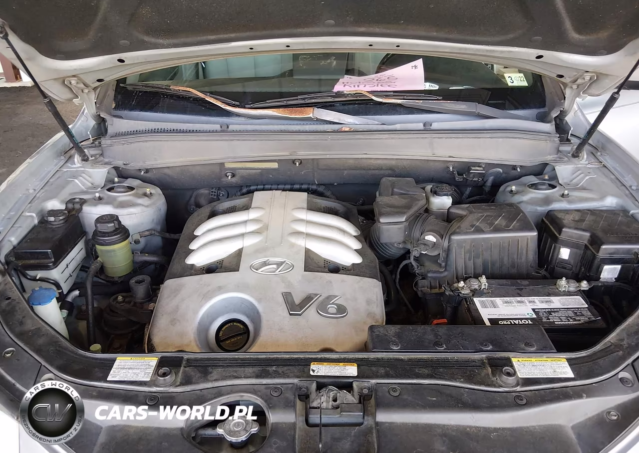 2007 Hyundai Santa Fe Limited-Se VIN:5NMSH13E37H015309 - 10