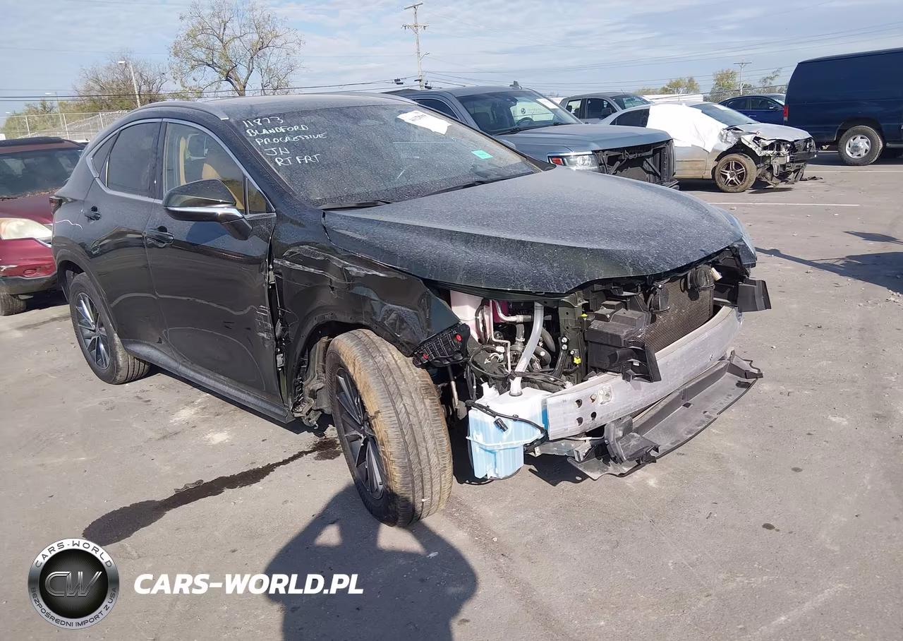 2025 Lexus Nx 350 VIN:2T2AGCEZ0SC082583 - 6