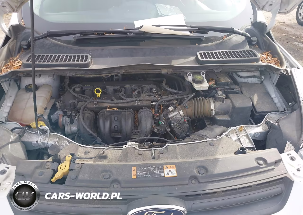 2014 Ford Escape S VIN:1FMCU0F79EUD41396 - 10