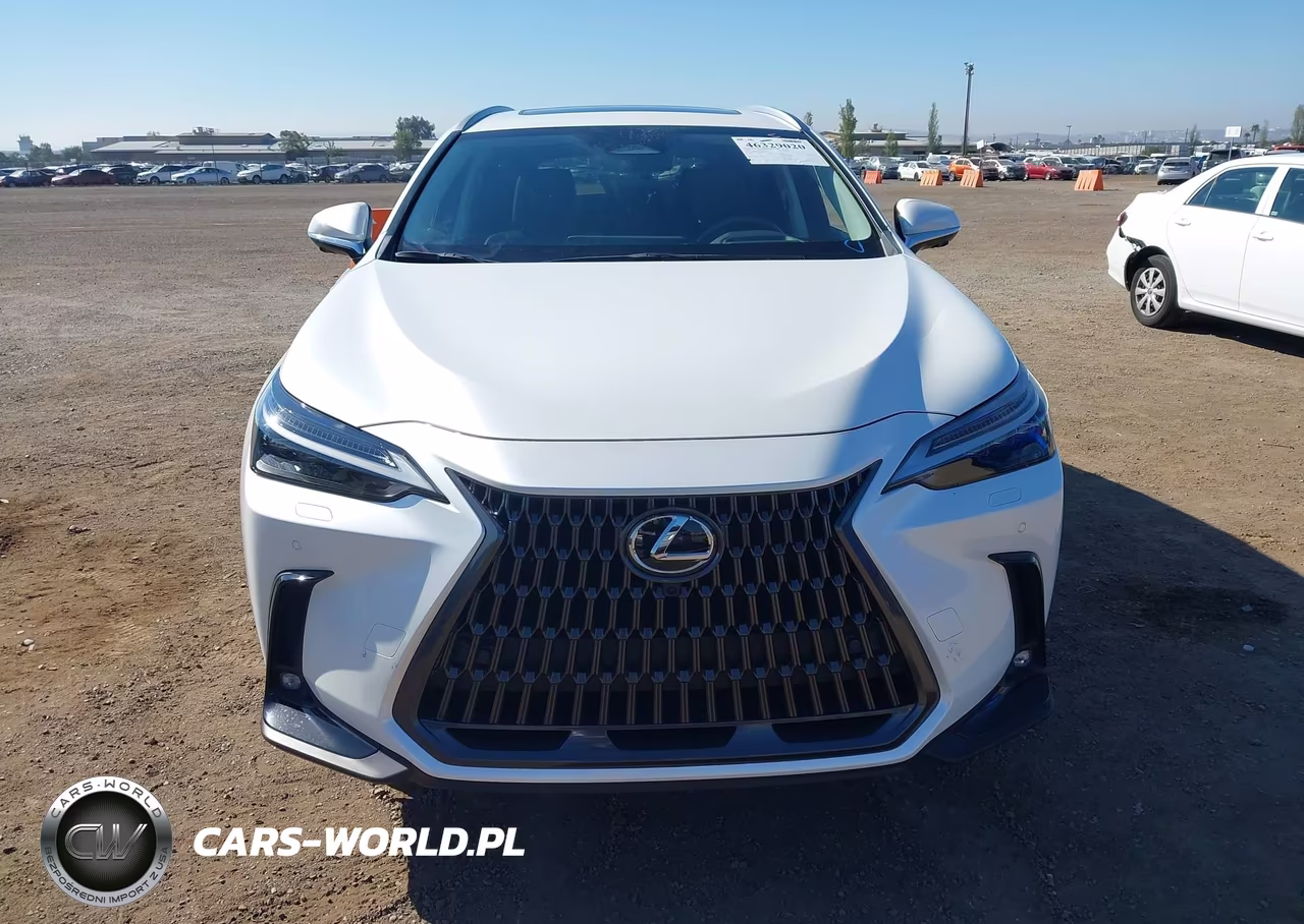 2024 Lexus Nx 450H+ Luxury VIN:JTJHKCFZ9R2025627 - 13