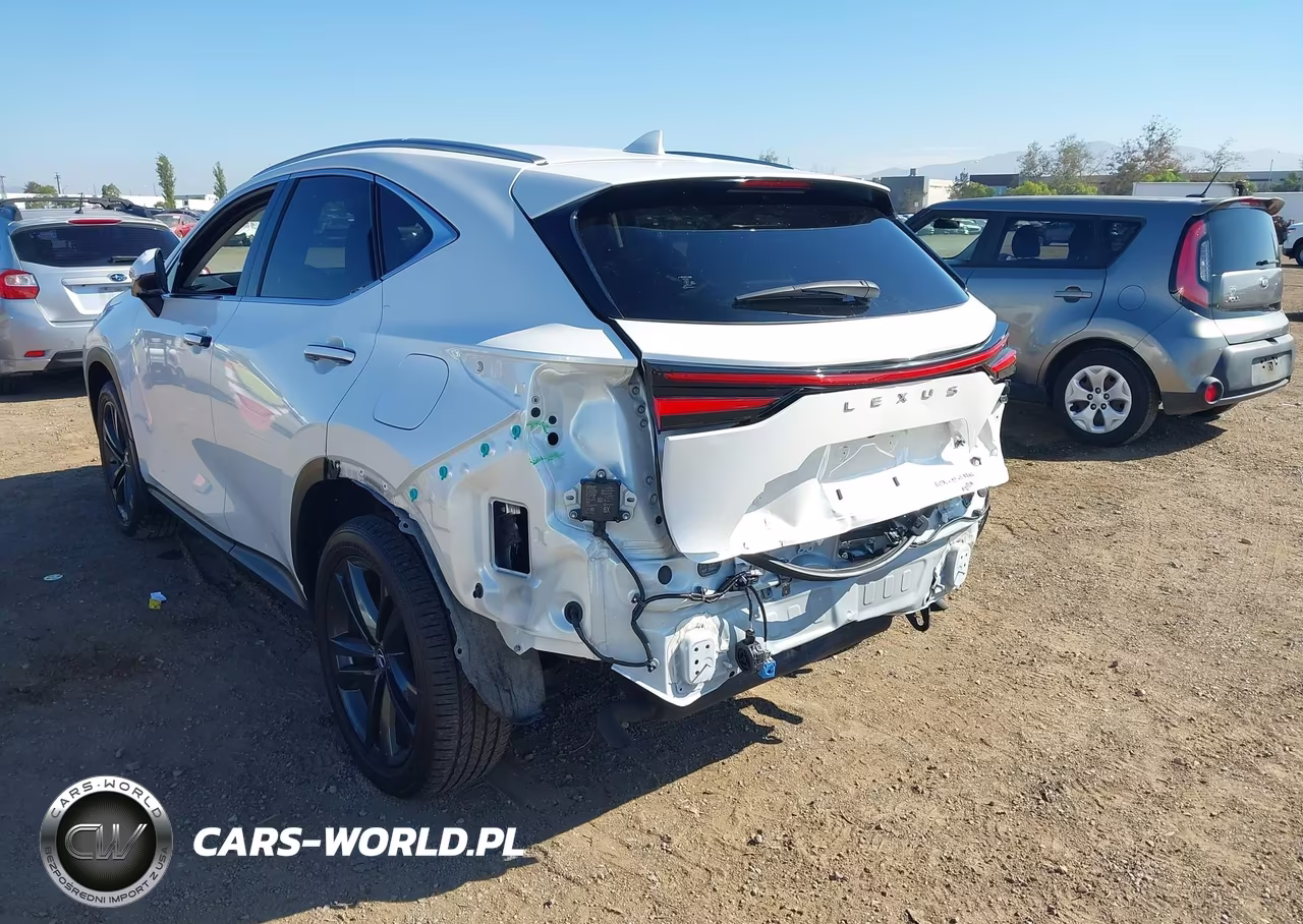2024 Lexus Nx 450H+ Luxury VIN:JTJHKCFZ9R2025627 - 6
