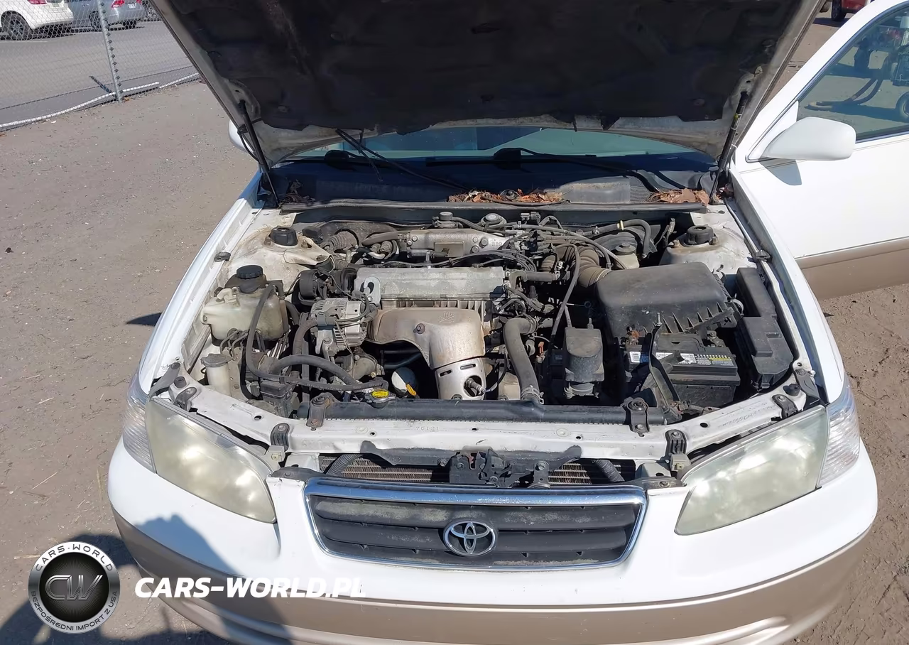 2001 Toyota Camry Le VIN:4T1BG22KX1U824236 - 10