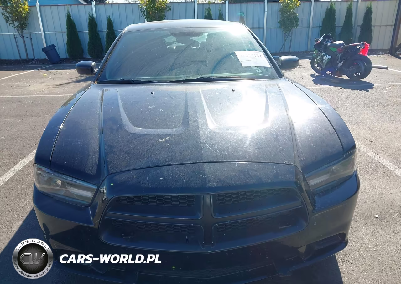 2014 Dodge Charger Police VIN:2C3CDXAT3EH279244 - 12