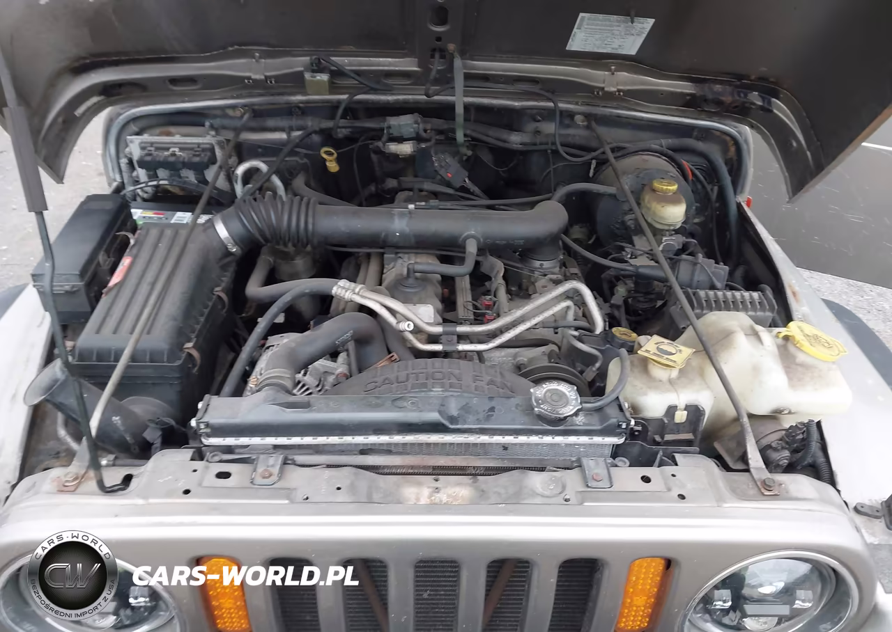 2004 Jeep Wrangler Sport VIN:1J4FA49S74P742132 - 10