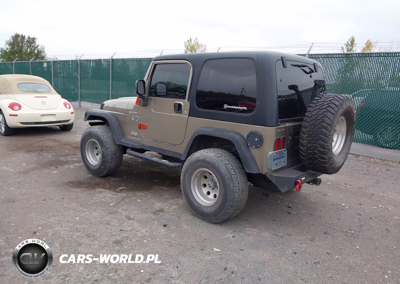 2004 Jeep Wrangler Sport VIN:1J4FA49S74P742132 - 3