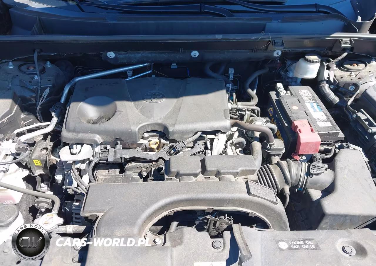 2019 Toyota Rav4 Limited VIN:2T3Y1RFV3KC013915 - 10