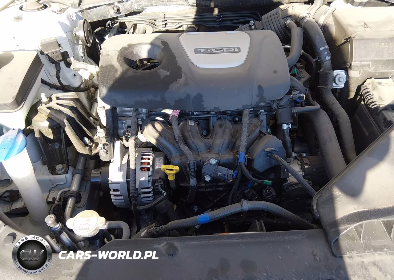 2018 Hyundai Sonata Eco VIN:5NPE24AA9JH706922 - 10