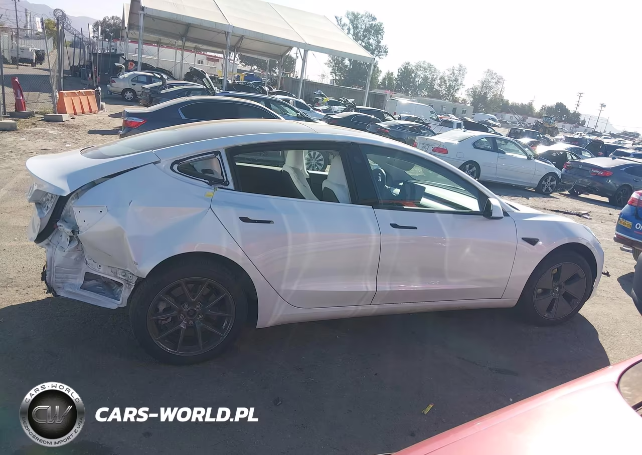 2023 Tesla Model 3 Rear-Wheel Drive VIN:5YJ3E1EA7PF669013 - 13