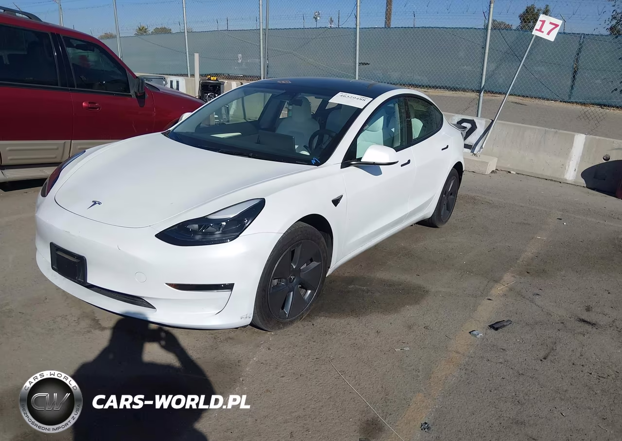2023 Tesla Model 3 Rear-Wheel Drive VIN:5YJ3E1EA7PF669013 - 2