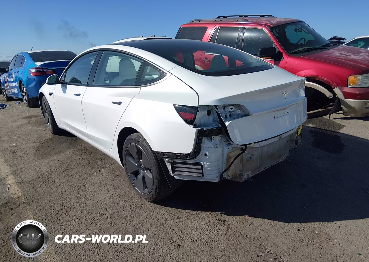2023 Tesla Model 3 Rear-Wheel Drive VIN:5YJ3E1EA7PF669013 - 3