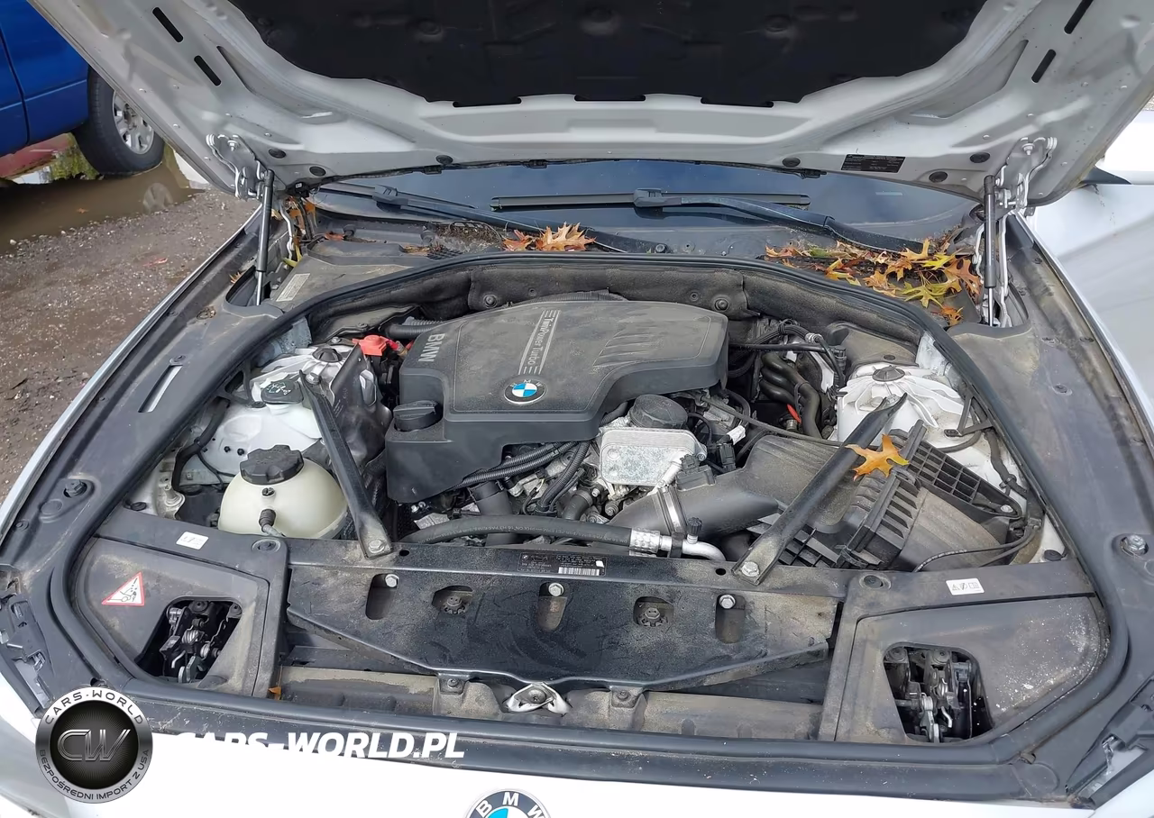 2013 BMW 528I xDrive VIN:WBAXH5C52DDW12966 - 10