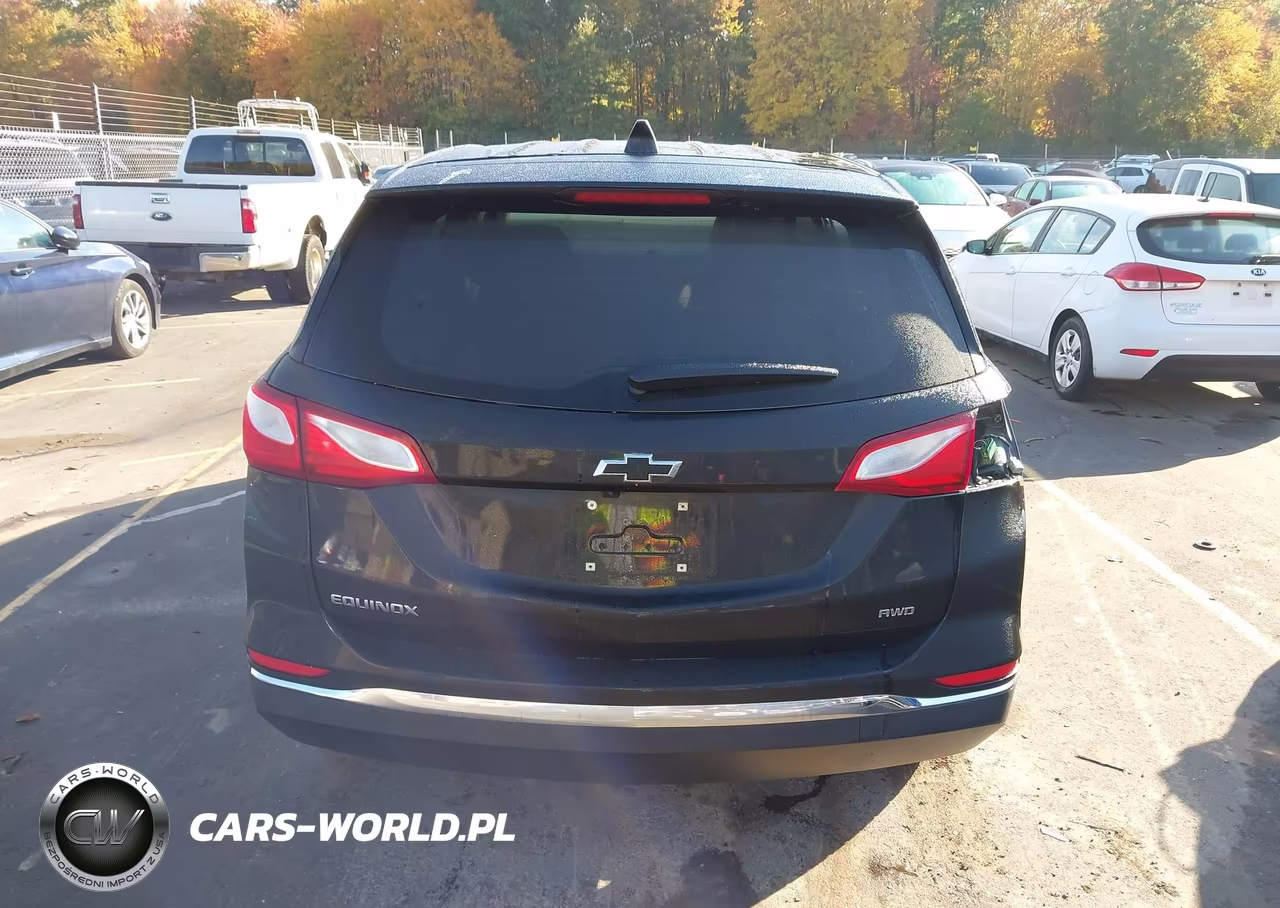 2019 Chevrolet Equinox Ls VIN:2GNAXSEV0K6187449 - 17