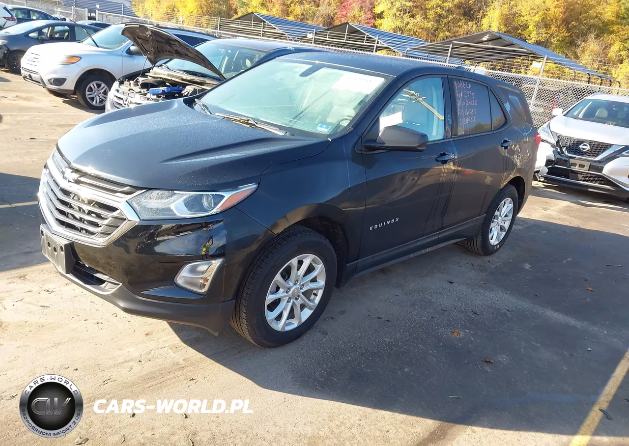 2019 Chevrolet Equinox Ls VIN:2GNAXSEV0K6187449 - 2