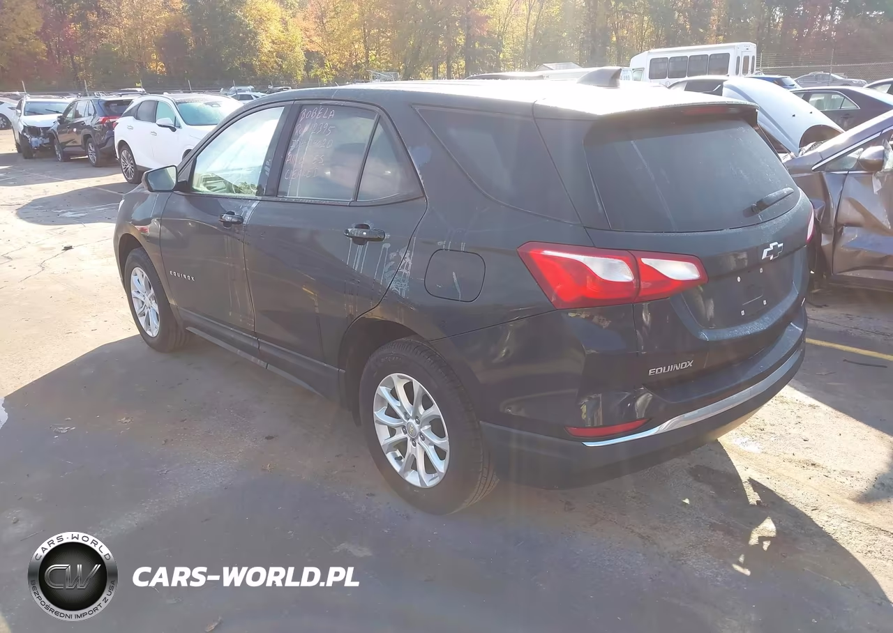 2019 Chevrolet Equinox Ls VIN:2GNAXSEV0K6187449 - 3