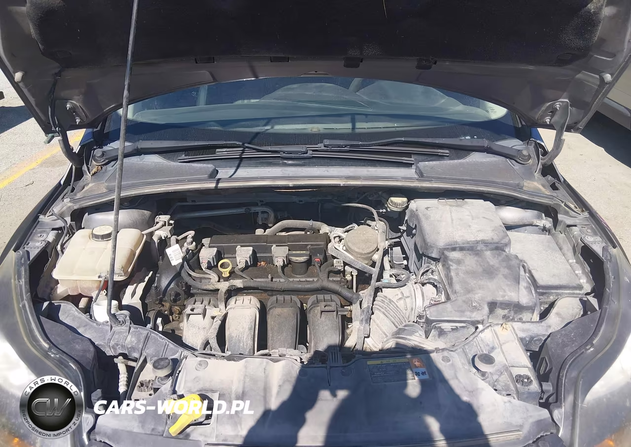 2013 Ford Focus Titanium VIN:1FADP3J29DL382103 - 10