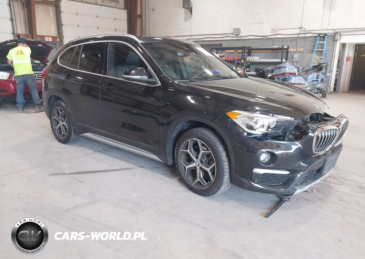 2019 BMW X1 xDrive28I – zdjęcie 1 z 17