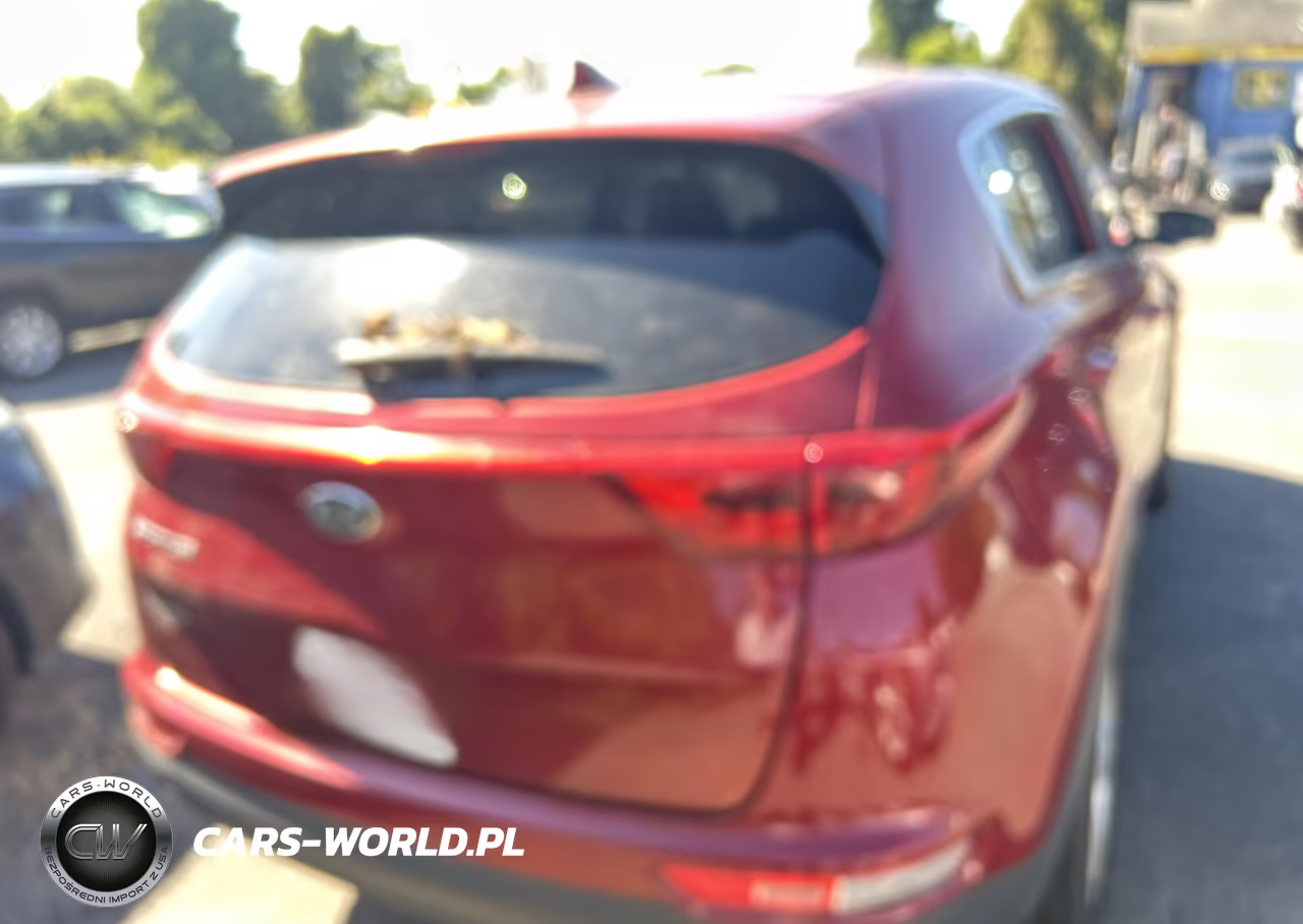 2017 Kia Sportage Lx VIN:KNDPMCAC4H7077860 - 4