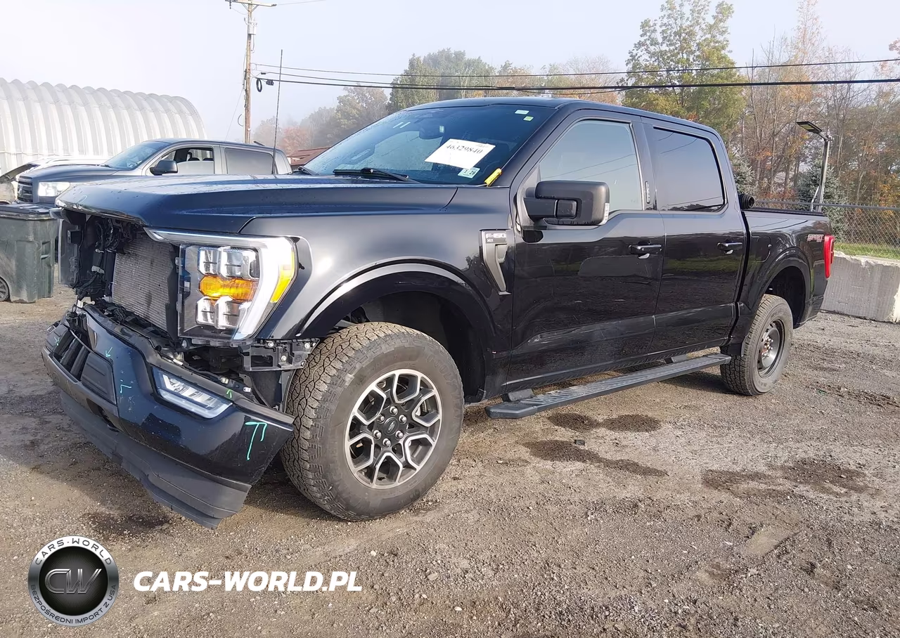2023 Ford F-150 Xlt VIN:1FTEW1EP7PKE04427 - 2
