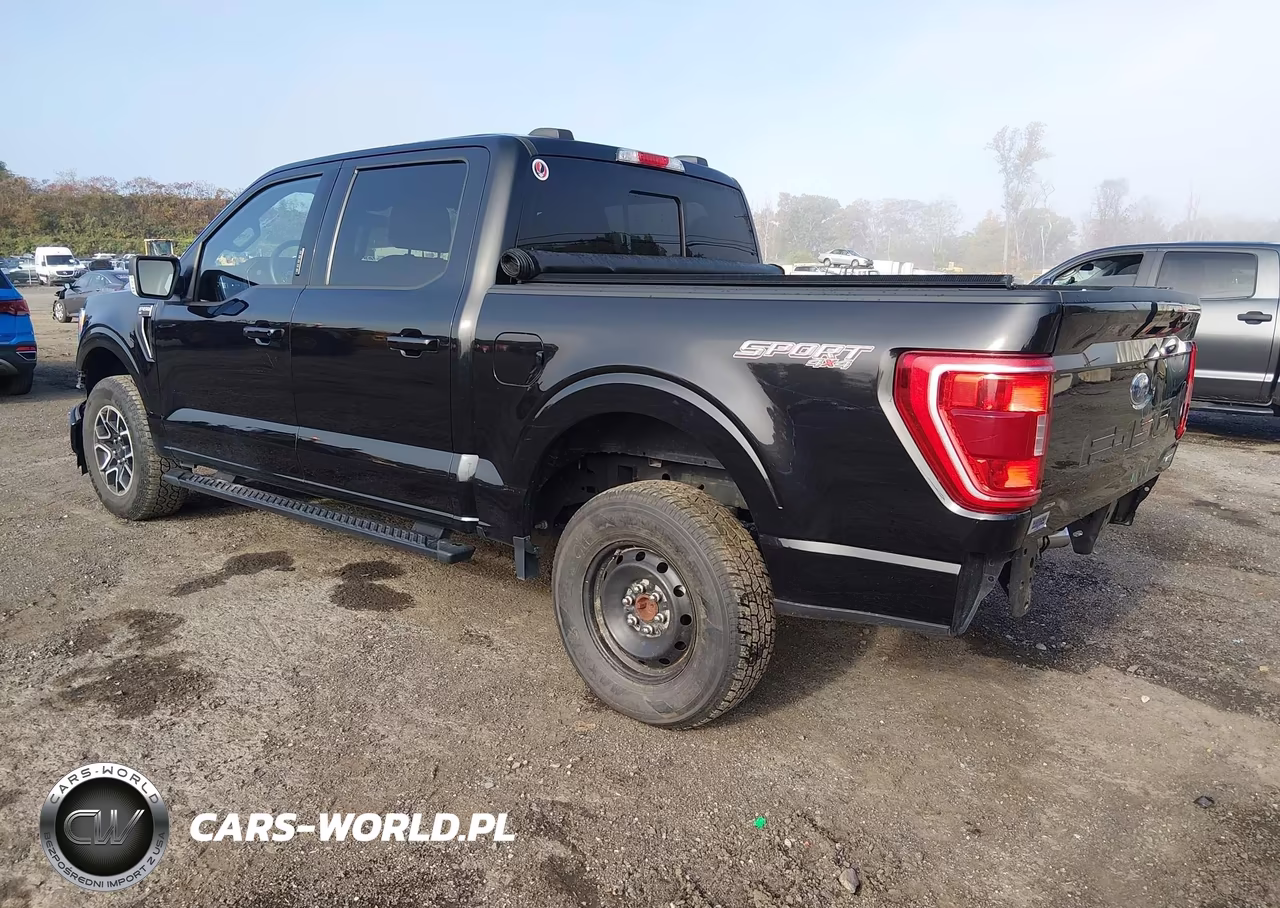 2023 Ford F-150 Xlt VIN:1FTEW1EP7PKE04427 - 3