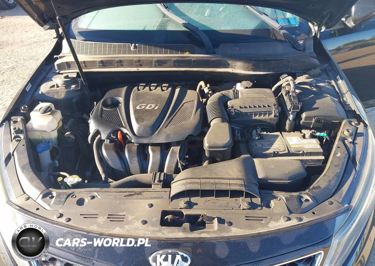 2014 Kia Optima Ex VIN:5XXGN4A73EG345659 - 10