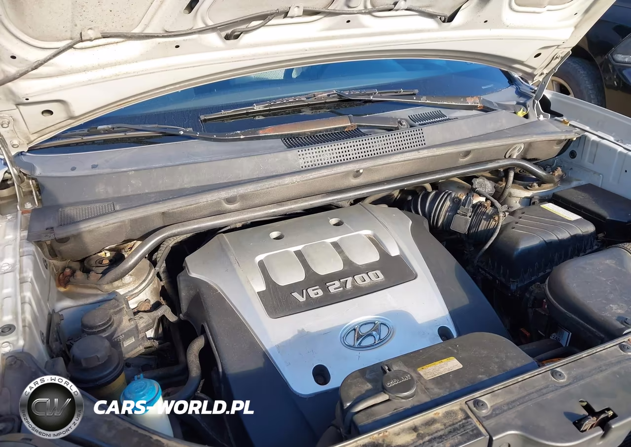 2005 Hyundai Tucson Gls-Lx VIN:KM8JN72D55U097027 - 10