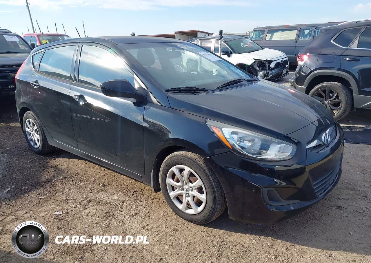 2014 Hyundai Accent Gs VIN:KMHCT5AE4EU176282 - 1