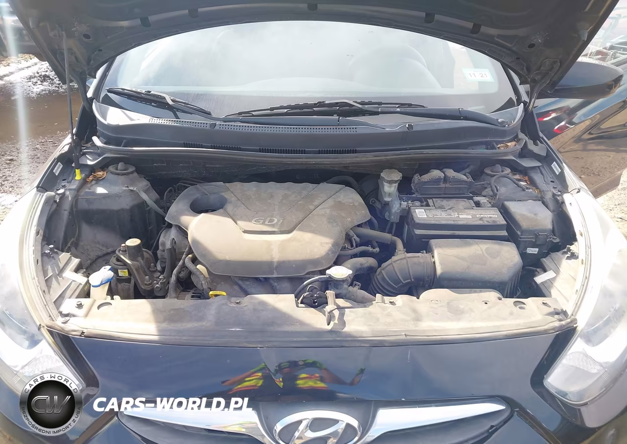 2014 Hyundai Accent Gs VIN:KMHCT5AE4EU176282 - 10