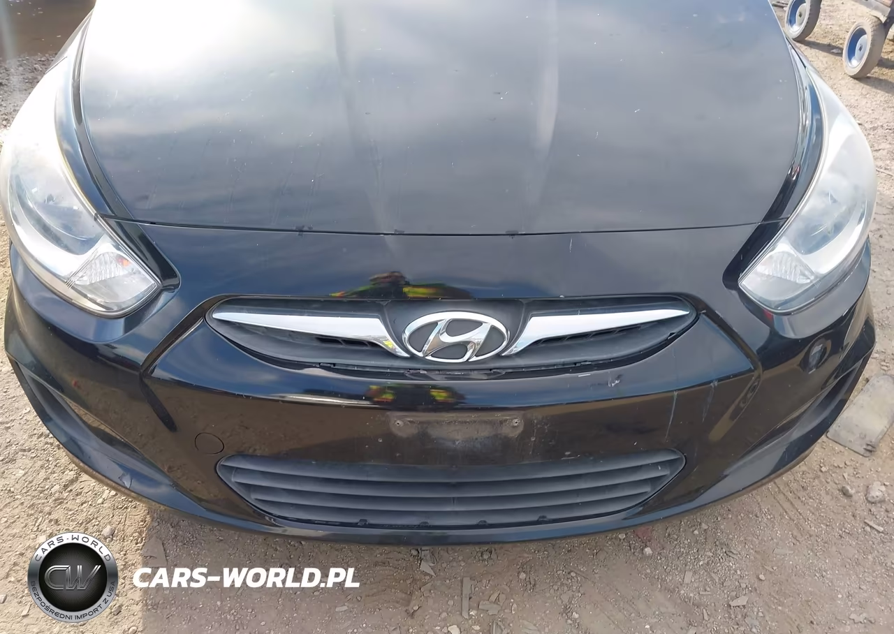 2014 Hyundai Accent Gs VIN:KMHCT5AE4EU176282 - 6