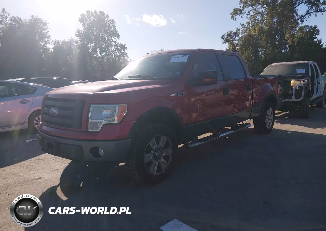 2009 Ford F-150 Fx4-Xlt VIN:1FTPW04V99KC63754 - 2
