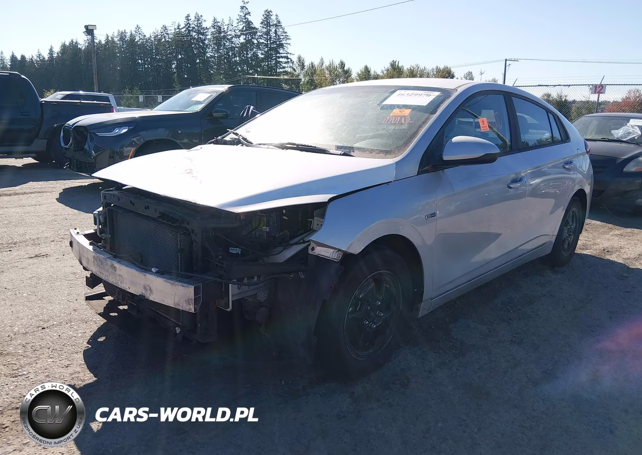 2017 Hyundai Ioniq Blue VIN:KMHC65LC8HU040079 - 2