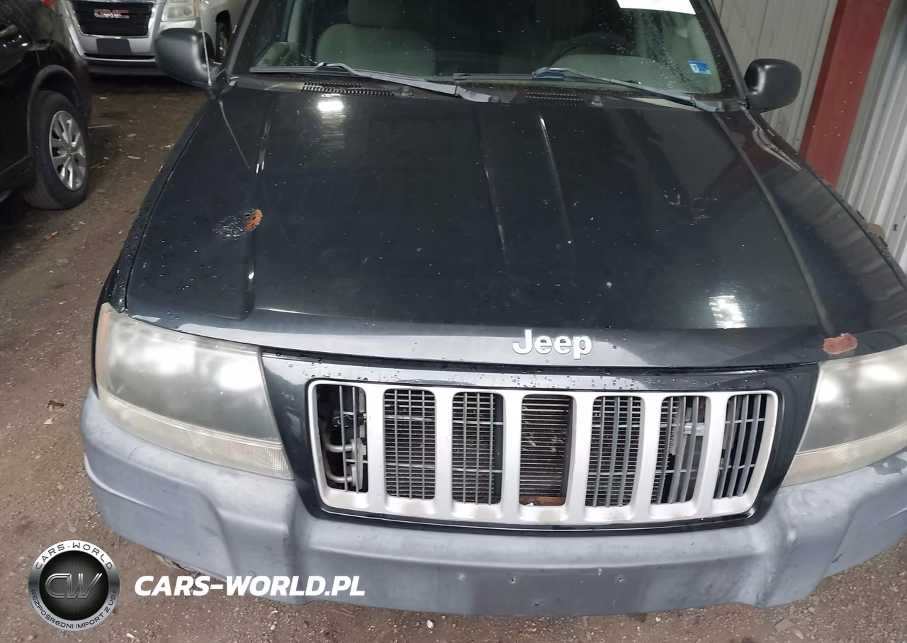 2004 Jeep Grand Cherokee Laredo VIN:1J4GW48S04C377517 - 10