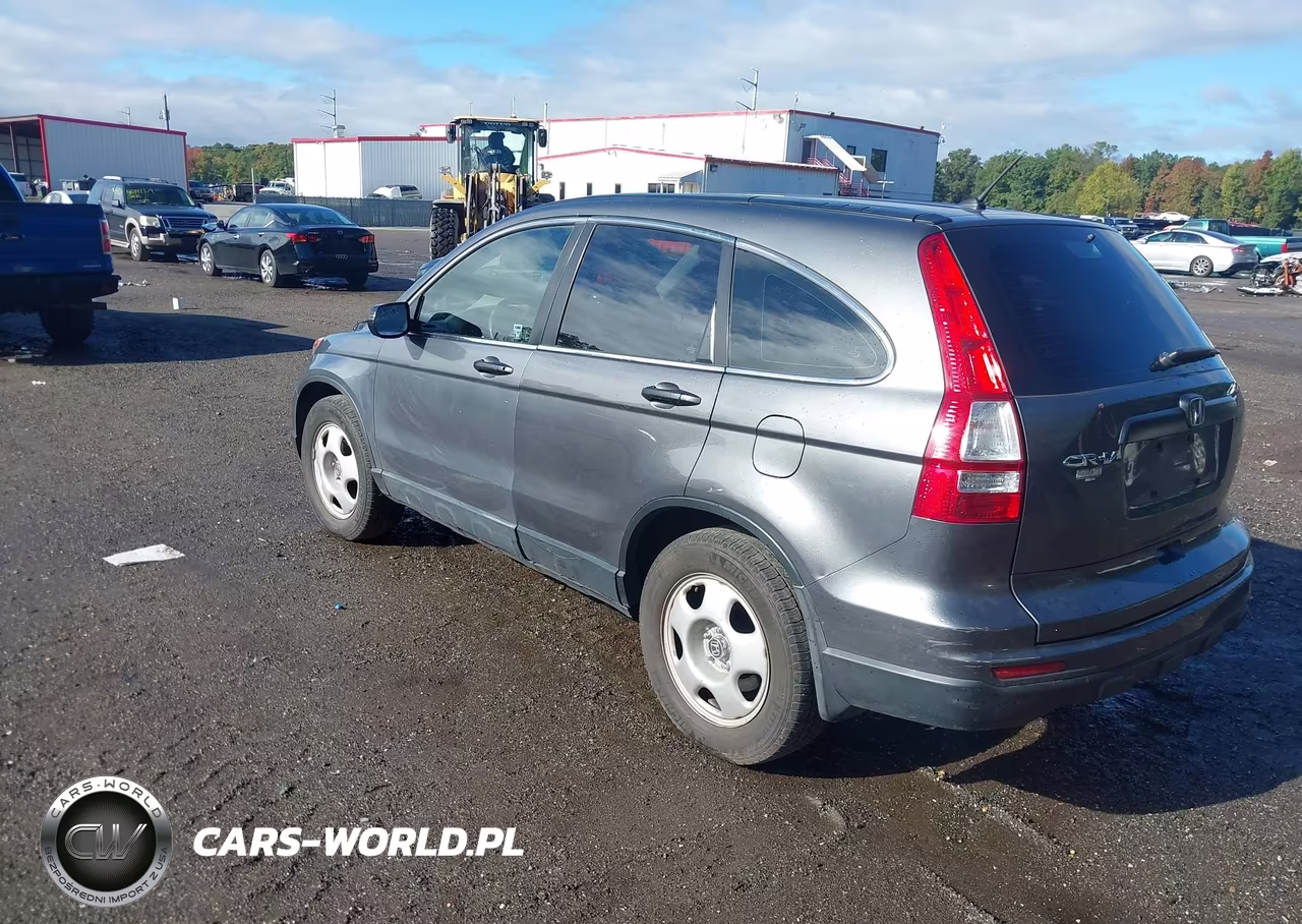 2010 Honda Cr-V Lx VIN:3CZRE3H38AG700817 - 3