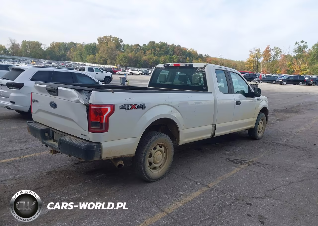 2017 Ford F-150 Xl VIN:1FTFX1EGXHKD84483 - 4