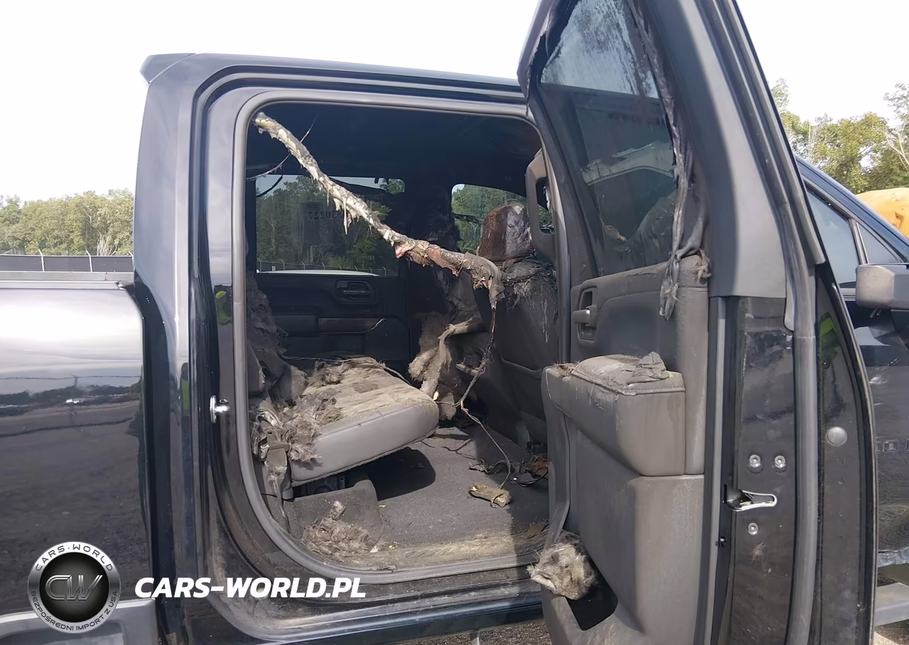 2022 Chevrolet Silverado 2500Hd VIN:1GC4YPEY0NF161146 - 7