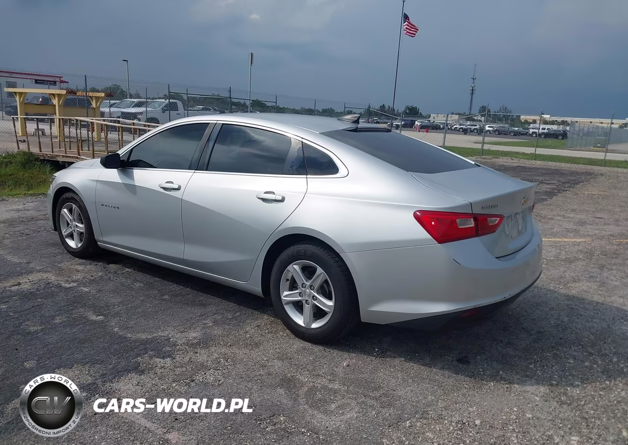 2020 Chevrolet Malibu Fwd 1Fl VIN:1G1ZC5ST4LF011693 - 3