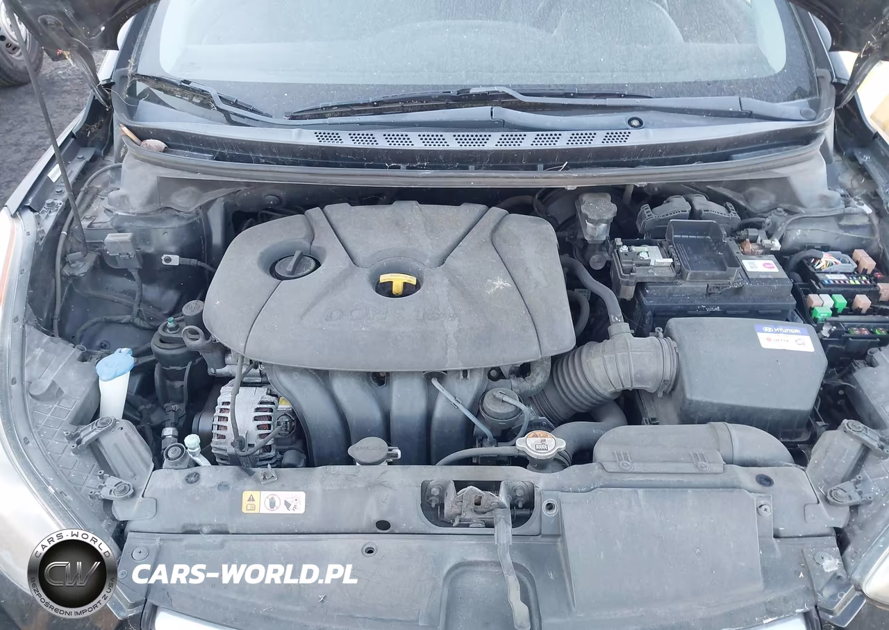 2013 Hyundai Elantra Gls VIN:KMHDH4AE5DU530695 - 10