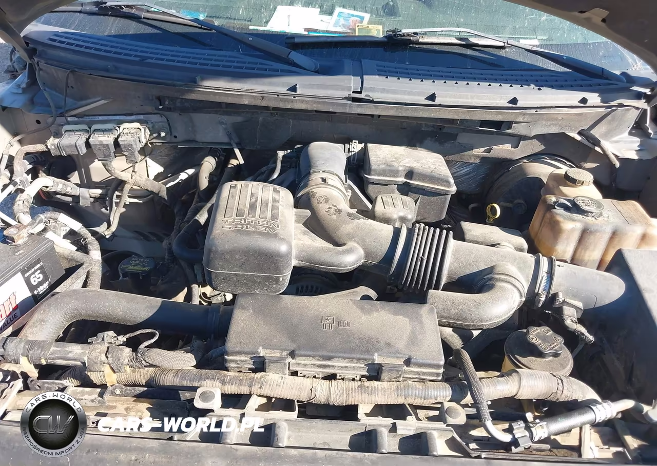 2009 Ford F-150 King Ranch-Lariat-Platinum-Xl-Xlt VIN:1FTPW12V49KC42853 - 10
