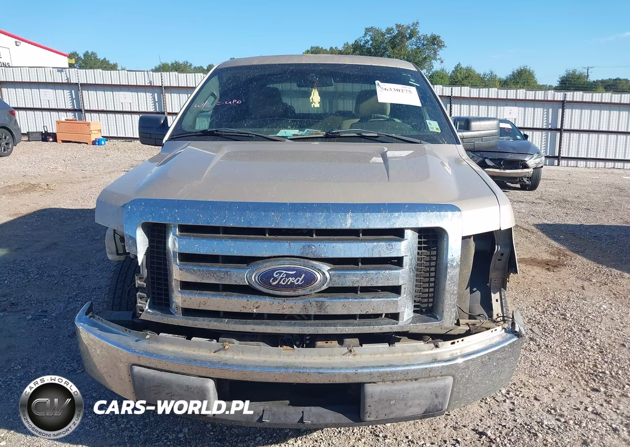 2009 Ford F-150 King Ranch-Lariat-Platinum-Xl-Xlt VIN:1FTPW12V49KC42853 - 12
