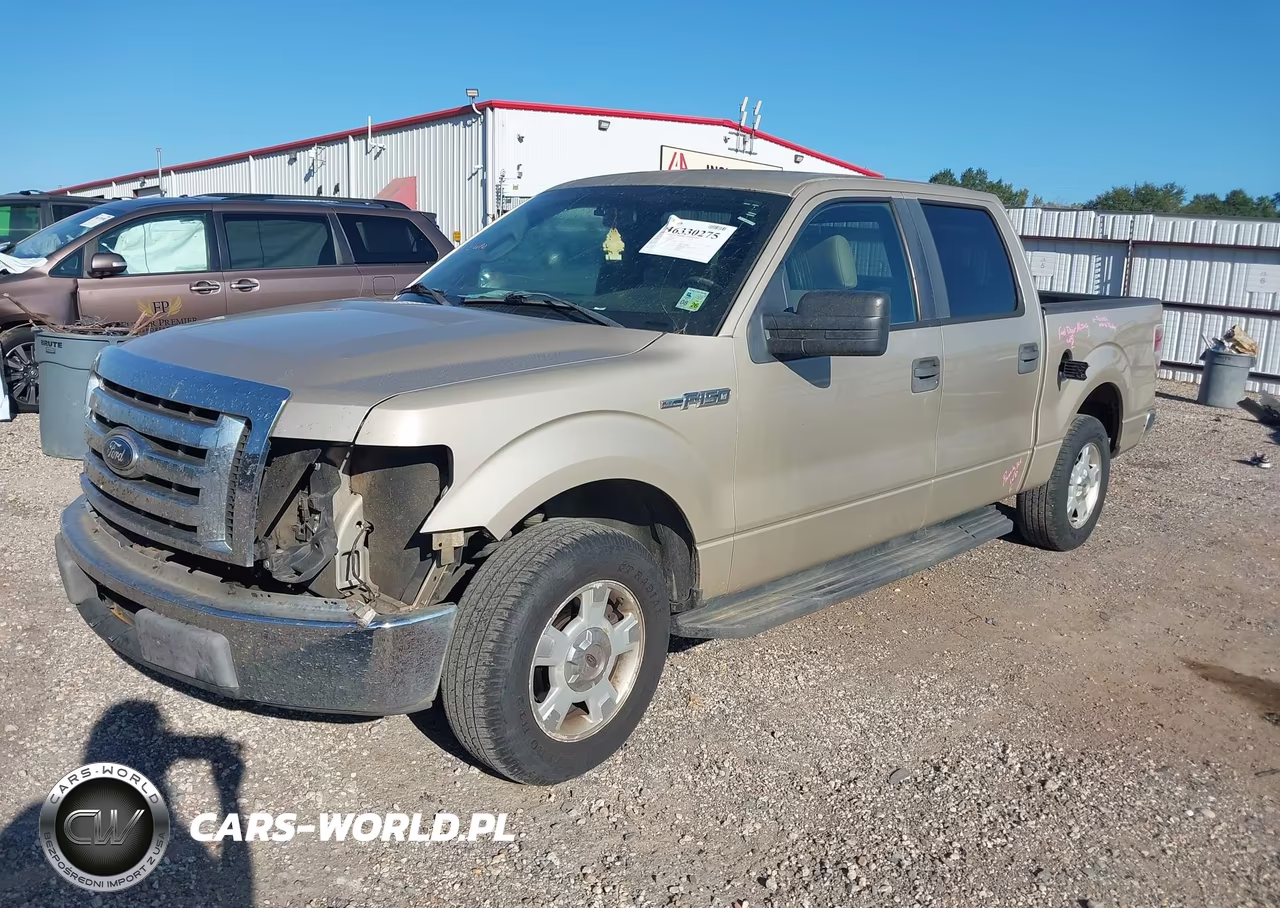 2009 Ford F-150 King Ranch-Lariat-Platinum-Xl-Xlt VIN:1FTPW12V49KC42853 - 2
