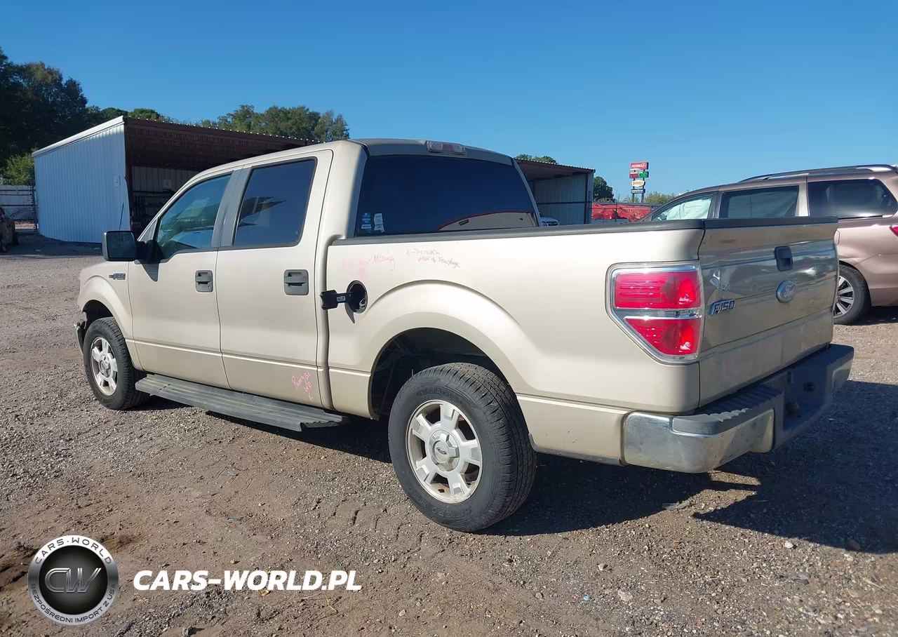 2009 Ford F-150 King Ranch-Lariat-Platinum-Xl-Xlt VIN:1FTPW12V49KC42853 - 3